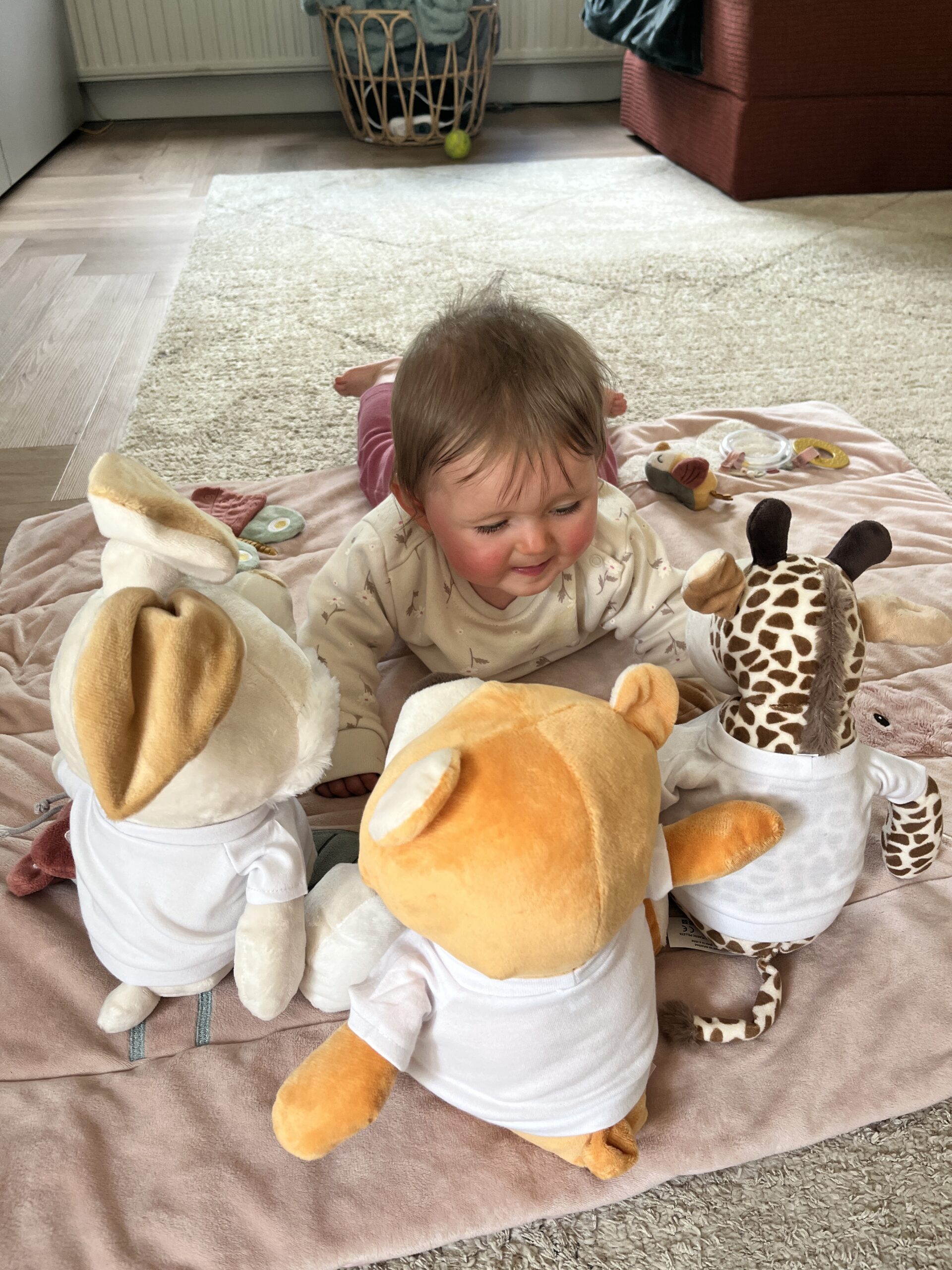 personaliseerde knuffels met foto en tekst